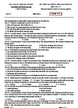 4 Đề kiểm tra hệ số 2 môn Vật lý Lớp 12 - Năm học 2018-2019 - Trường THPT Bình Giang